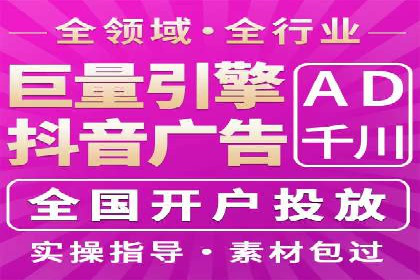 某电商平台的SEM推广实践与效果展示